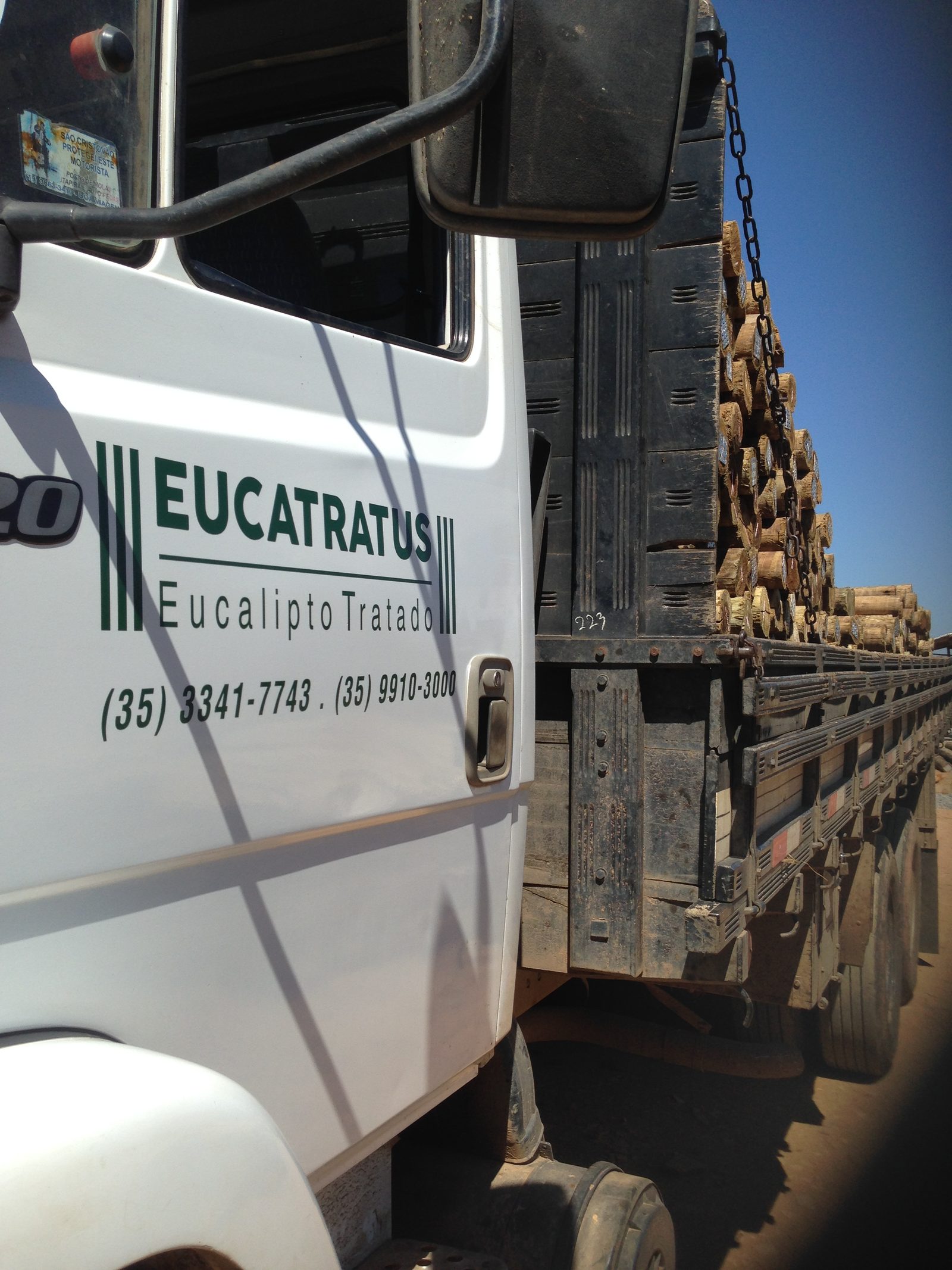 Caminhão da Eucatratus carregado com eucalipto tratado