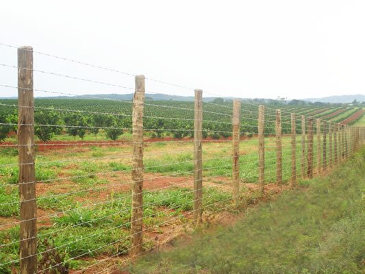 Cerca de divisa e estacas para a plantação.