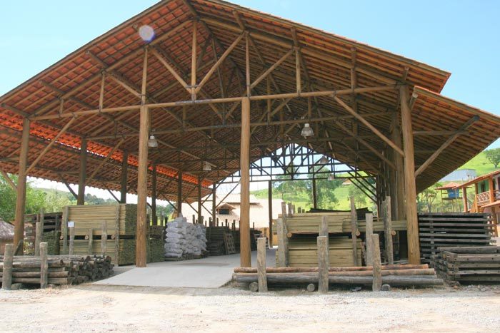 Galpão construído com eucalipto tratado